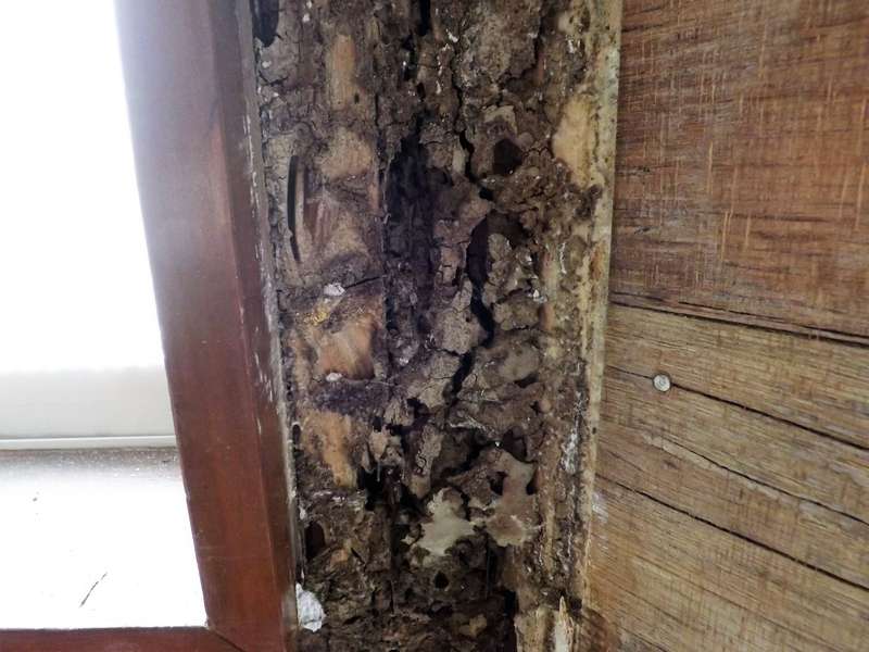窓の結露の影響で柱が腐った