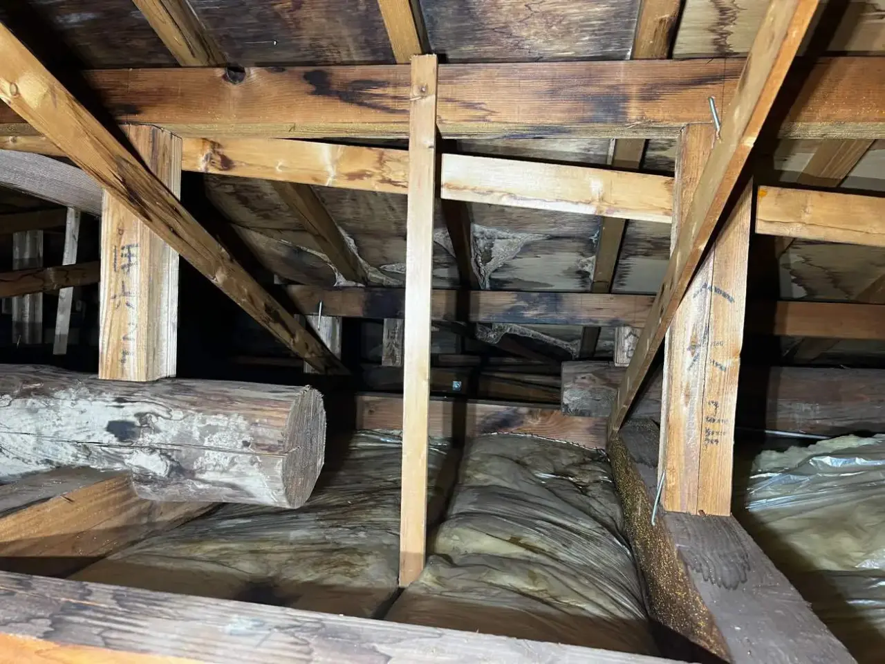 換気が不十分な屋根裏の様子