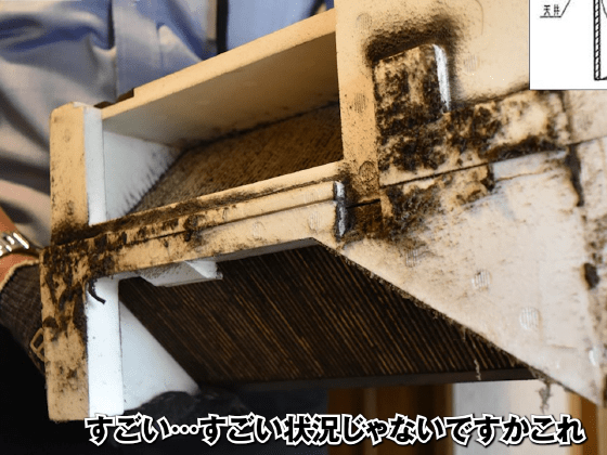 熱交換器に生じたカビ