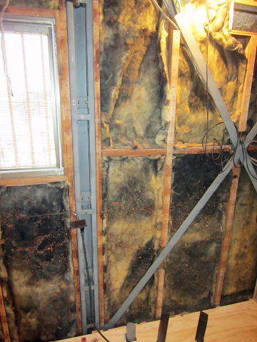 壁体内結露による断熱材に生じたカビ