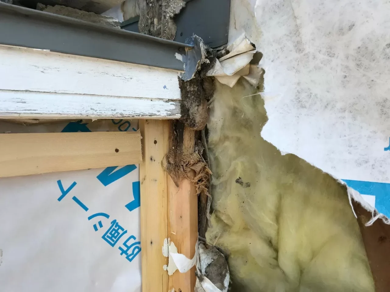 リフォーム時に確認すべき壁体内の腐朽リスク