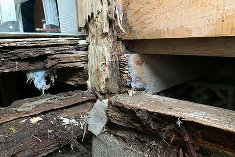 築40年木造住宅の浴室解体現場。土台と柱の根元がシロアリと腐朽でボロボロの状態