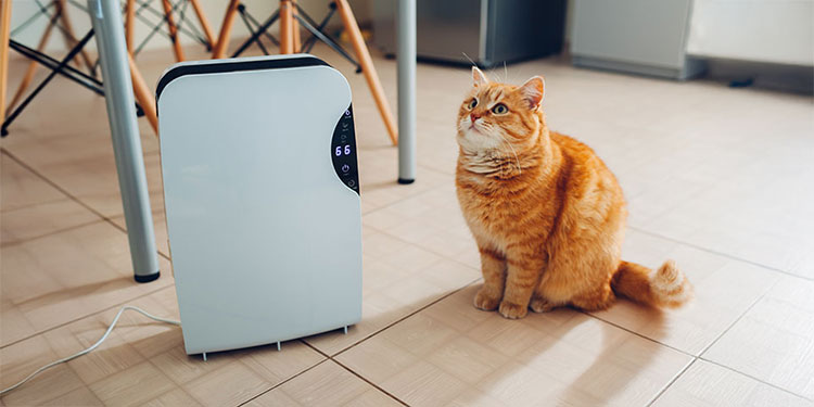 冬の室内で除湿器を静かに運転させている様子