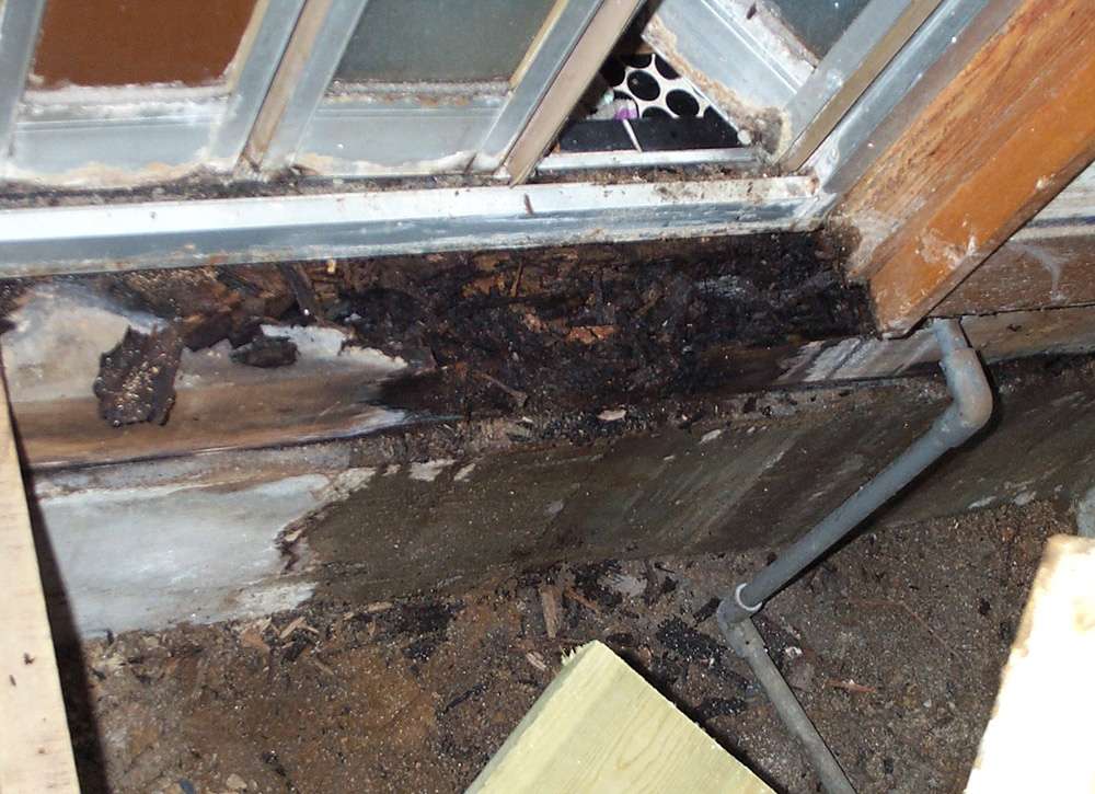 土台が腐った現場